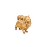 Gouden pomeranian dwergkees beeld - Afbeelding 5