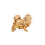 gouden pomeranian dwergkees