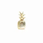 HV Ananas Gouden Kroon Groot 8x8x16cm