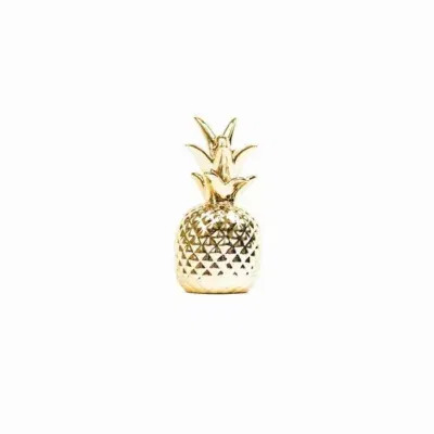 HV Ananas Gouden Kroon Groot 8x8x16cm