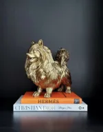 Gouden pomeranian dwergkees beeld - Afbeelding 2