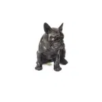 HV Bulldog- Black-19x13.5x19cm