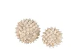 Schelp bal beige decoratie S Jline