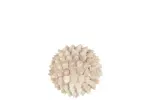 Schelp bal beige decoratie M