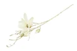 Countryfield zijden bloem Magnolia S wit crème - 86CM