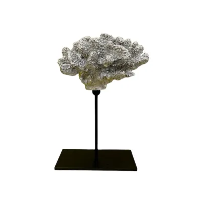Koraal op zwarte metalen standaard 25 x 30 cm