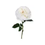 Losse zijden bloem wit 60 cm