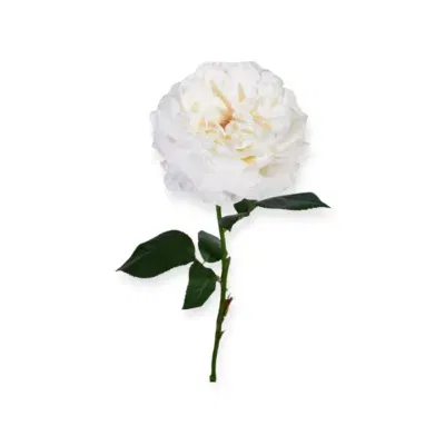 Losse zijden bloem wit 60 cm