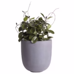 Pot - Ducos big grey - Afbeelding 2