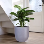 Pot - Ducos big grey - Afbeelding 4