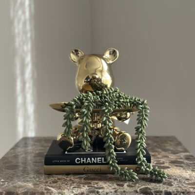 Decoratie set beer beeld met erwtenplant en tafelboeken