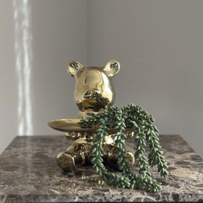 Decoratie set beer beeld + groene erwtenplant