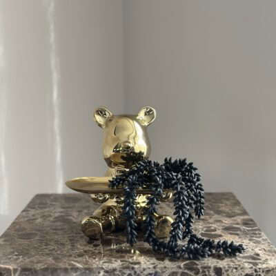 Decoratie set beer beeld + zwarte erwtenplant