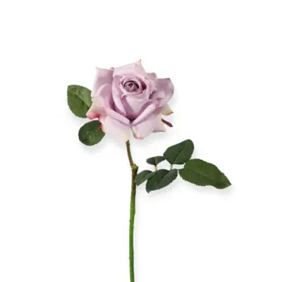 Lila / licht roze zijden bloem rozen roos