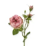 Losse zijden bloem oud roze rozen 52 cm
