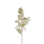 countryfield Eucalyptus tak goud 72 cm