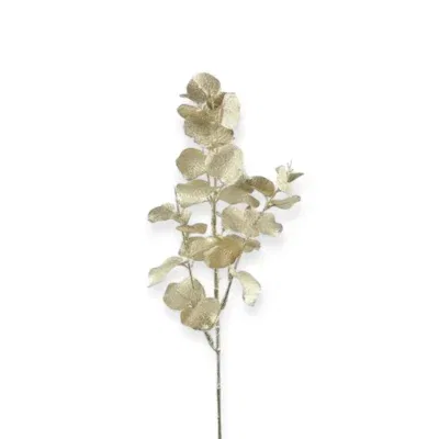 countryfield Eucalyptus tak goud 72 cm