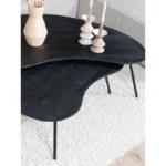 Salontafel Ludo Zwart – Organisch – Set van 2 - Afbeelding 6