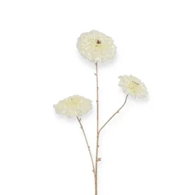 Countryfield kunstbloemen Calendula creme parelmoer 87 cm