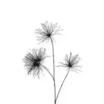 Countryfield kunstbloemen Grevillea zwart 94 cm