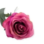 Zijden rozen aubergine