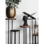 Plantentafels Sam Rond - Set van 3 - Bruin Mangohout - Afbeelding 3