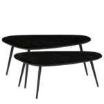 Jailey Bijzettafel - Set van 2 - L84 x B39 x H39 cm - Gerecycled Hout - Zwart