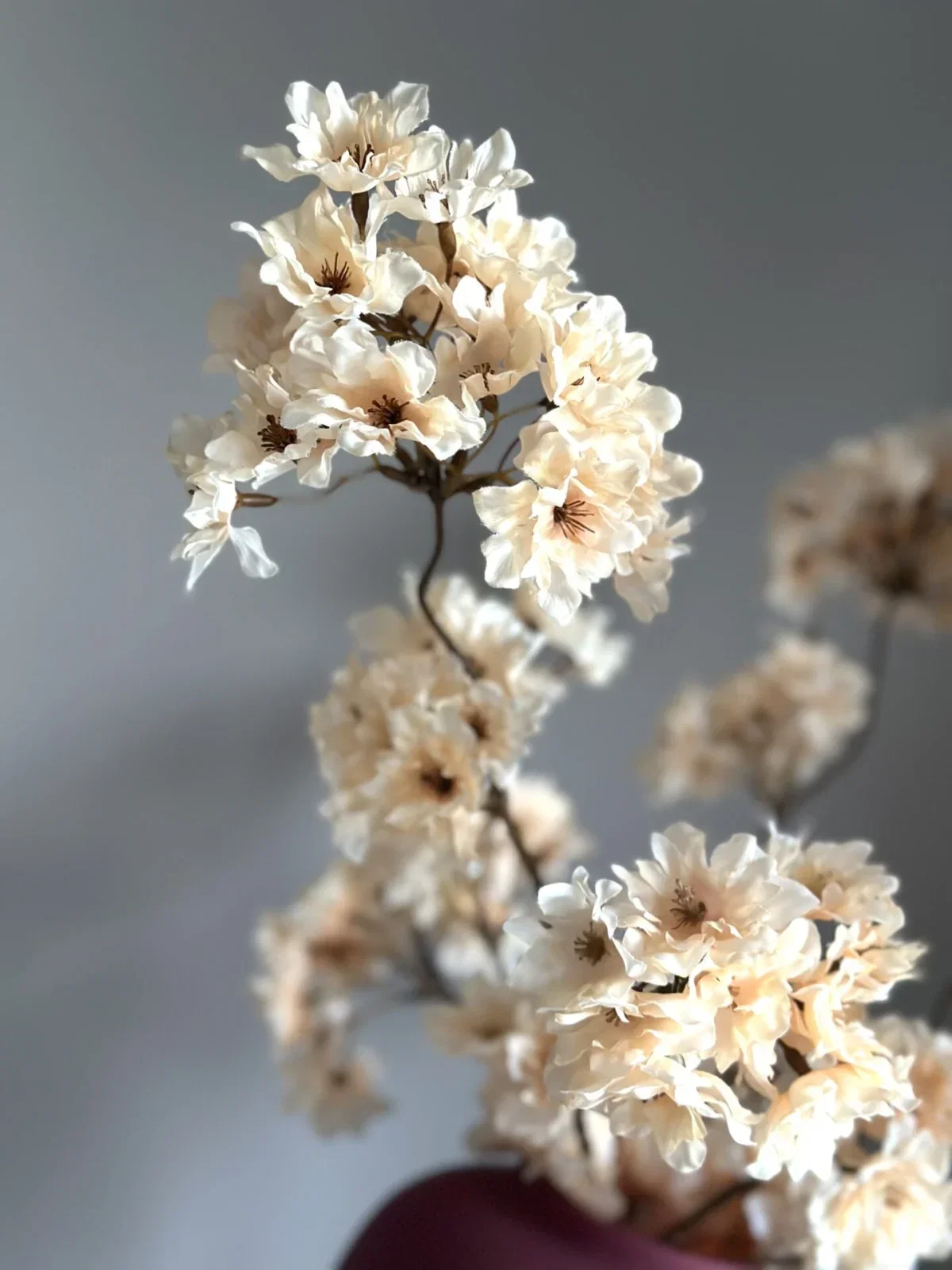 Zijden bloesemtak Prunus Pandora beige/creme - 85cm