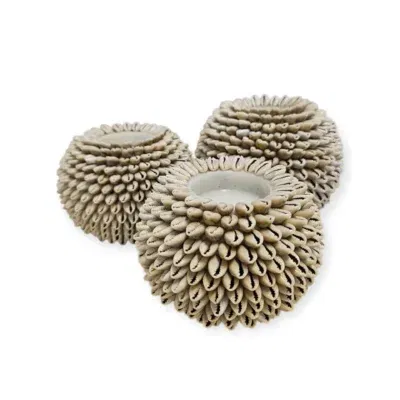 Schelpen waxinelichthouder kauri beige - 3 afmetingen