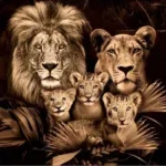 Glasschilderij 160x110cm Leeuwenfamillie met drie welpen
