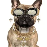 Glasschilderij met goudfolie 60x80cm Buldog met bril