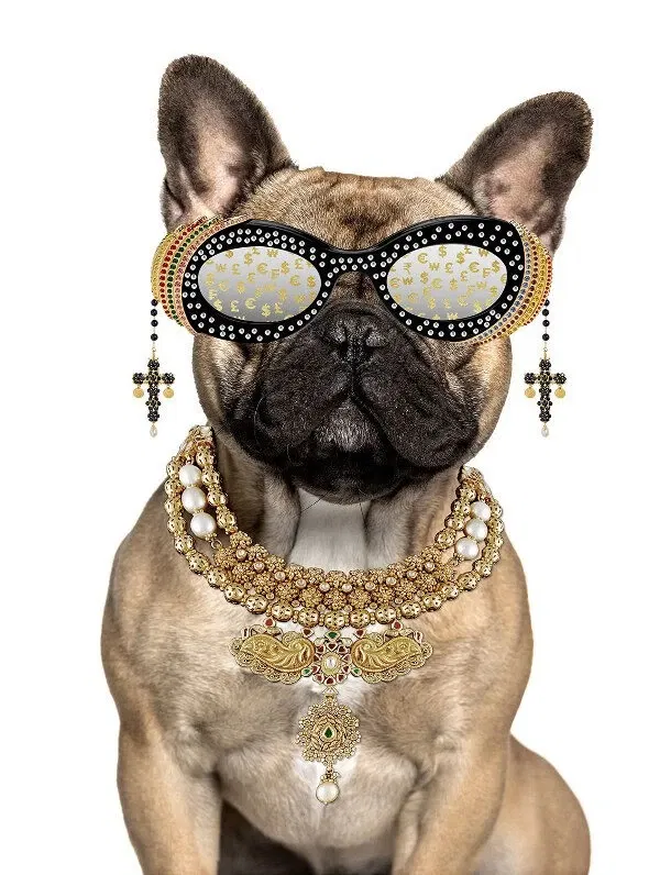 Glasschilderij met goudfolie 60x80cm Buldog met bril