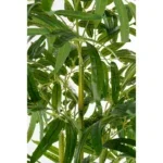 Kunstplant Bamboe Groen - 150 cm - Afbeelding 4