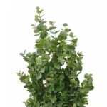 Kunstplant Eucalyptusboom Groen - Afbeelding 4