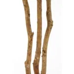 Kunstplant Monstera Groen - 150 cm - Afbeelding 3