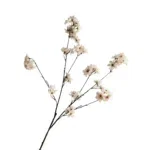 Zijden bloesem tak beige off white - 115cm