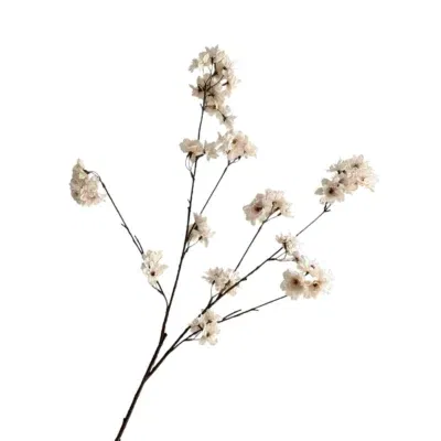Zijden bloesem tak beige off white - 115cm