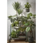 Kunstplant Yucca Groen - 120 cm - Afbeelding 6