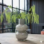 Vaas - Alima Elite grey | Vase the world - Afbeelding 2