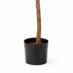 Kunstplant Ficus Groen - Afbeelding 4
