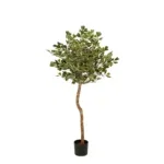 Kunstplant Ficus Groen