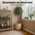 Kunstplant Ficus Groen - Afbeelding 8