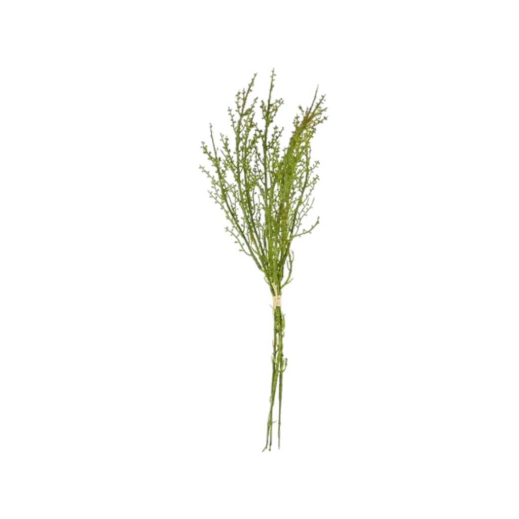 Bundel Betula Liguster 3x groen - 5x15x42CM