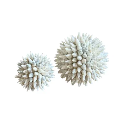 Decoratieve Schelpen Bal naturel -2 maten