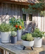 Plantenbak buiten Doppio Beige - Afbeelding 2
