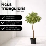 Kunstplant Ficus Groen - Afbeelding 6
