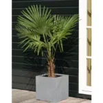 Plantenbak - El Salvador grey | Vase the World - Afbeelding 4