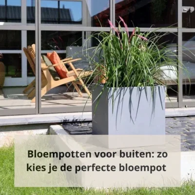 Bloempotten voor buiten: zo kies je de perfecte bloempot voor jouw tuin of balkon