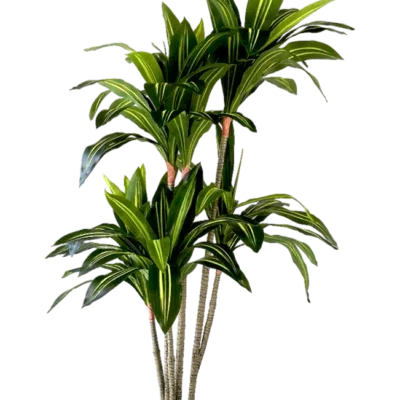 Kunstplant Dracaena Fragnans 150cm