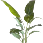 Kunstplant Strelitzia 200 cm real touch
